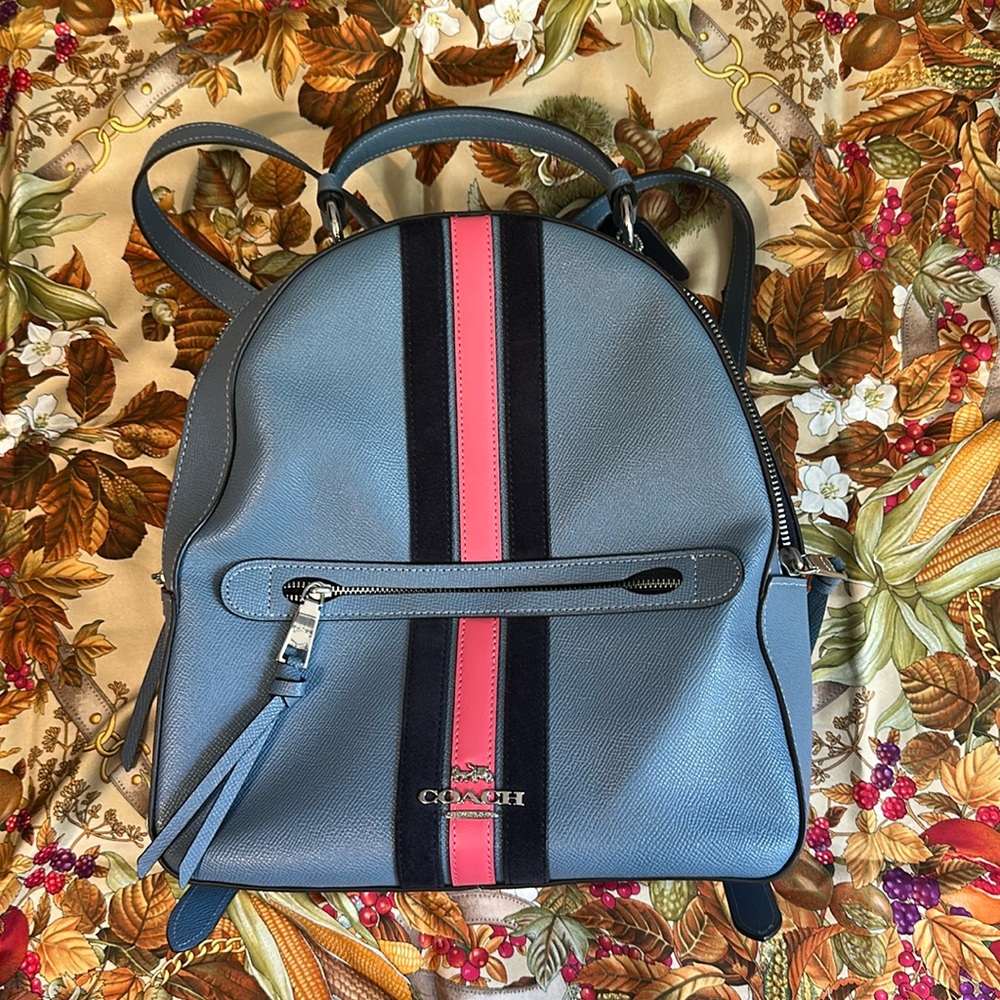 Coach Jordyn Backpack With Varsity Stripe